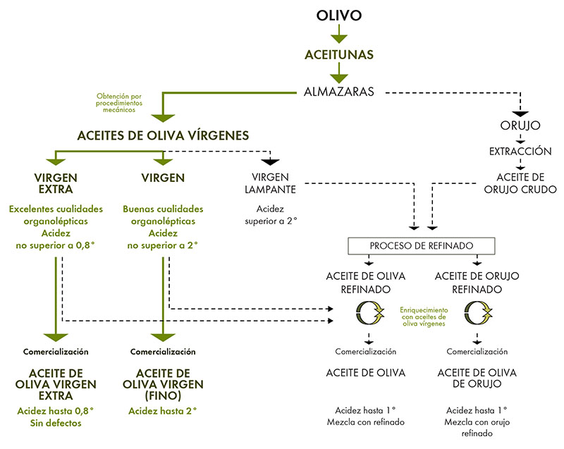 Gráfico de clasificación de aceites de oliva virgen y refinados.